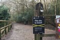 Alice Holt Forest closed to visitors because of high winds