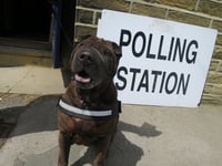 Where to vote in Woking borough for local elections