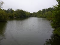 Narrow majority backs cutting off Alton's Kings Pond from River Wey