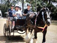 Garden centre raises almost £8,000 for Quest Riding for the Disabled