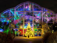Wisley takes on a festive glow