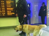 Crackdown on crime and drugs
