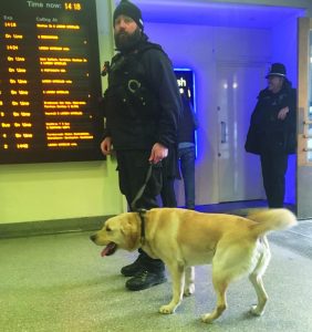 Crackdown on crime and drugs