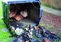 Lucky escape for family after bin fire