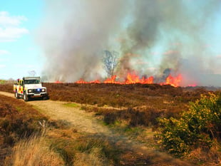 Fire tears through Chobham Common