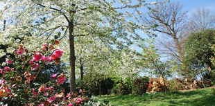 Visit the glorious Timber Hill Gardens this Easter Monday
