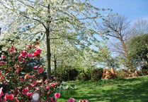 Visit the glorious Timber Hill Gardens this Easter Monday