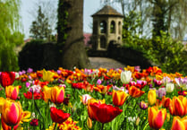 Dunsborough Park opens for annual tulip festival