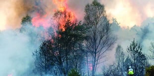 Countryside managers issue plea to stop wildfires