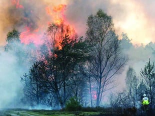 Countryside managers issue plea to stop wildfires