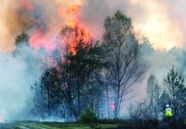 Countryside managers issue plea to stop wildfires