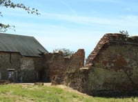 Woking Palace opens for visitors