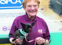 100 year old animal charity worker calls for 100 dog walk