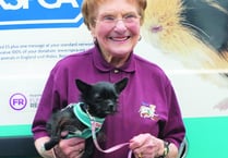 100 year old animal charity worker calls for 100 dog walk