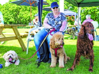 Sally's 100 dog walk