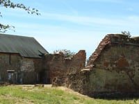 Woking Palace to hold Festival of Archaeology