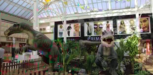 Dinosaurs on the loose