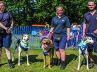 Gala Day at RSPCA Millbrook