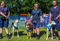 Gala Day at RSPCA Millbrook