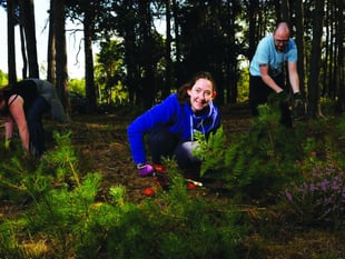 McLaren staff tidy up common
