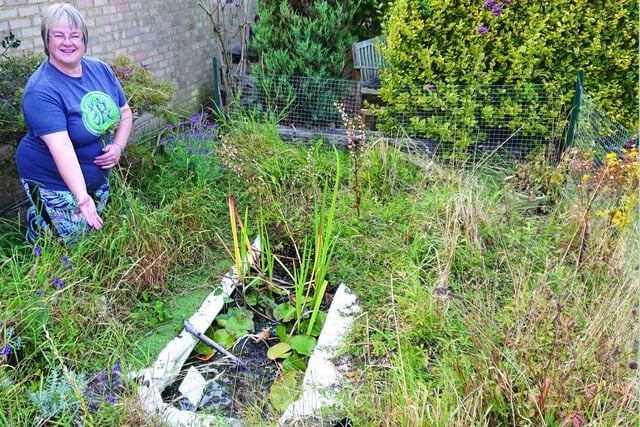 Wildlife garden winner