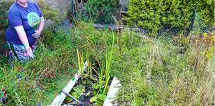 Wildlife garden winner
