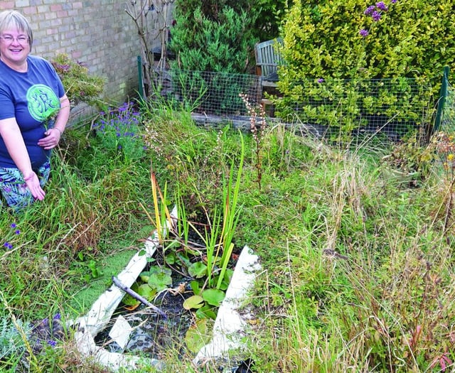 Wildlife garden winner