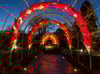 Wisley Glows up for Christmas