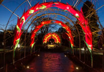 Wisley Glows up for Christmas