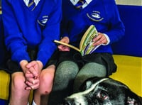 Therapy dogs a massive success with local schools
