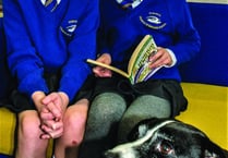 Therapy dogs a massive success with local schools