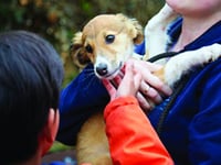 Children invited to RSPCA Action Day