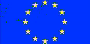 Brexit division flares in row over mistaken flag identity