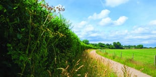 Nature investment fund to benefit local area