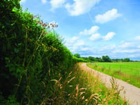 Nature investment fund to benefit local area