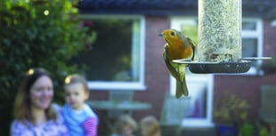 Join in the Breakfast Birdwatch