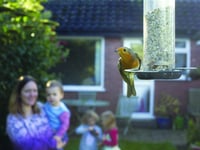 Join in the Breakfast Birdwatch