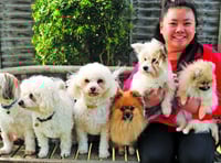 Crufts winner stays active with help of furry friends