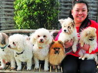 Crufts winner stays active with help of furry friends