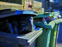 County councillor calls on residents to help binmen during crisis