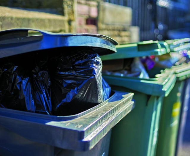 County councillor calls on residents to help binmen during crisis