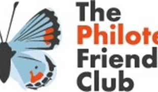 Meet new people at online friendship club