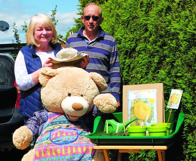 Big Bear brings a touch of whimsy to Chobham lockdown