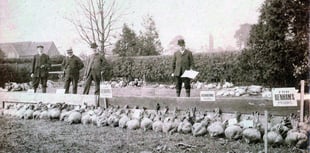When Chobham embraced the beet generation