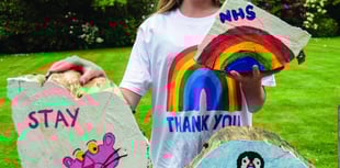 Teenage artist raises over £1,000 for NHS with log art creations