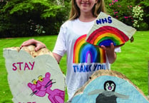 Teenage artist raises over £1,000 for NHS with log art creations