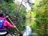 Paddle into a peaceful waterworld