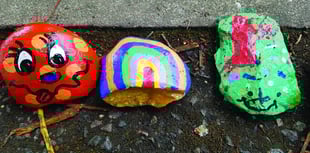 Pebble Train proves a runaway success