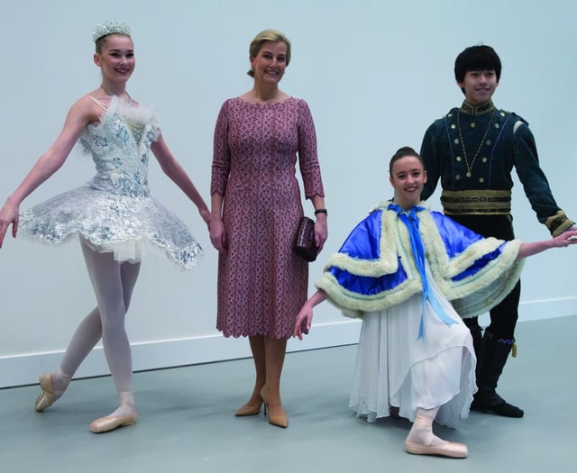 Dancers find joy in online ballet