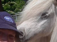 Plight of horses inspires Charlotte in 150km trek